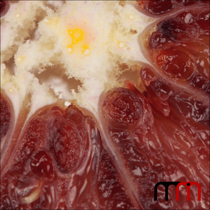 Blood Orange 07
