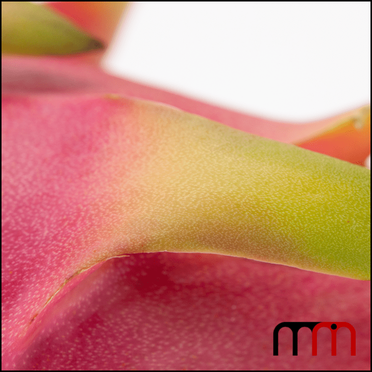 Dragon Fruit 03