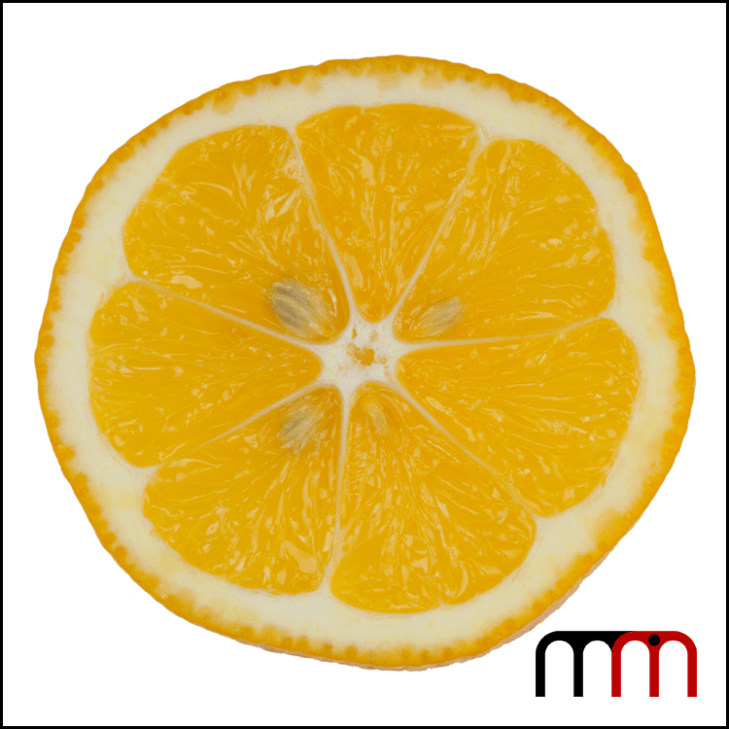 Meyer Lemon 04