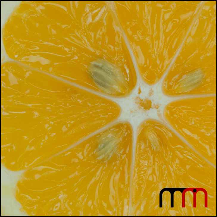 Meyer Lemon 06