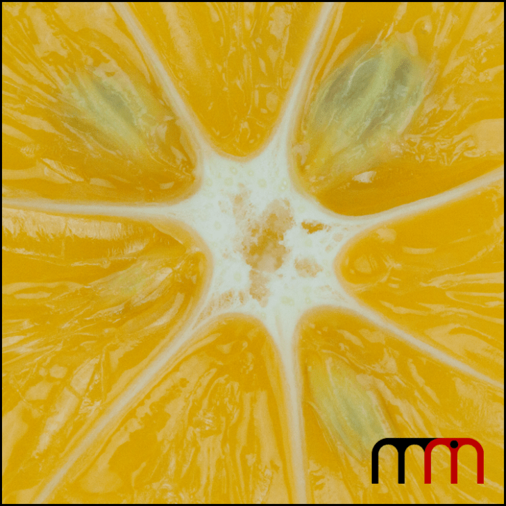 Meyer Lemon 09